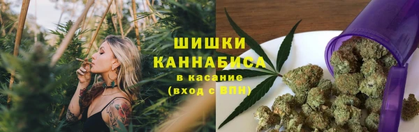 первитин Лабытнанги