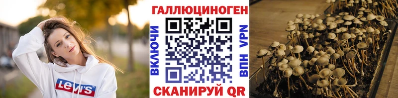 KRAKEN сайт  купить закладку  Лысково  Галлюциногенные грибы Magic Shrooms 